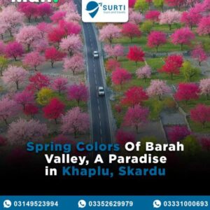 Surti reviews NorthPk (1)